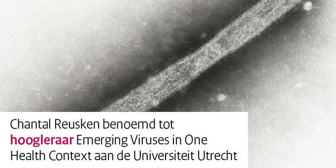 Chantal Reusken benoemd tot hoogleraar Emerging Viruses in One Health Context aan de Universiteit Utrecht.