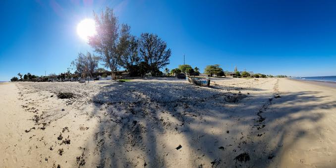 une plage, des arbres, et l'ombre des arbres.