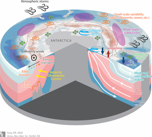 Fig. 4: Schematic of the primary processes impacting the flow of carbon through the Southern Ocean. The vertical section on the right depicts the two-dimensional carbon cycle that results from zonally and temporally averaging the four-dimensional variability.