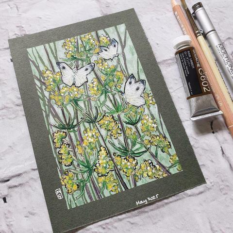 A small illustrative style drawing of three cabbage white butterflies on yellow flowers with a green background.
The large white, also known as the Cabbage White is a common, large, white butterfly that is often spotted flying slowly over cabbage patches in gardens, allotments and farmland. Adults fly between April and October.
An original art work
Colour pencil and mixed media on acid free toned artist paper
5 by 7 inches (12.7 by 17.8 cm).
Sold unframed