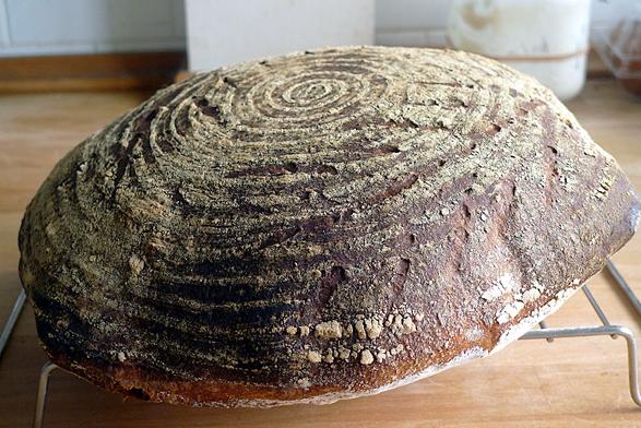 Side view of a "rustic" sourdough loaf, baking to a dark brown crust with flour marks from banneton proving.

200g active starter (itself 50% flour, 50% water)
300g wholemeal flour
400g strong white flour
540g water (for 80% hydration overall including the starter)
16 salt.

Mix until all the flour is wet, rest 30 minutes, give it a bowl fold until it begins to firm up then transfer to a clean, oiled bowl.

Rest 30 mins then give it 3 coil folds.  Repeat 3 more time.

Rest 1 hour.  Tip out, shape, put into banneton.  Rest 1 hour at room temp or overnight in the fridge.

Tip onto a baking tray. Score. Bake in preheated oven at 230°C/450°F/GM9 for 15 minutes, then reduce to 210°C/410°F/GM7 for a further 30–35 mins.

(Rest times can vary, look for gaining 2× to 2½× size by the time it goes into the banneton and a little bit more in that final period.