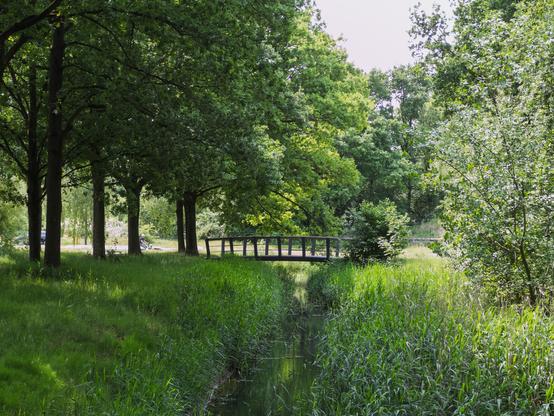 A wooden bridge over a lush green creek surrounded by trees in Huizen, Netherlands.