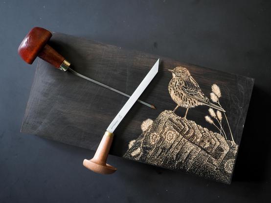 Wood engraving in progress: meadow pipit on a rock with lichen and moss, the beginnings of a clump of cottongrass arching towards the bird. Two engraving tools shown for scale. Block is 180x90mm.