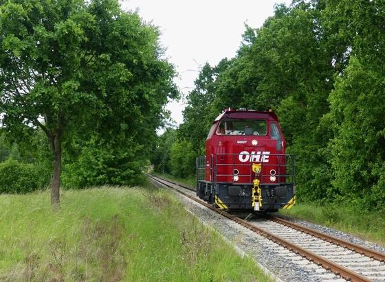 Eine rote Lokomotive der OHE rollt gemächlich aus einem von Bäumen gesäumten Streckenabschnitt in Richtung Bildvordergrund. Das Gleis verläuft als Einzelspur durch eine sommerlich grüne Landschaft, links flankiert von einer Wiese mit hohem Gras, rechts fast vollständig eingefasst von dichtem Laubwald. Die Szene wirkt ruhig und abgeschieden, nur das Fahrzeug mit seinem kräftigen Rot setzt einen markanten Kontrast zur üppigen Natur ringsum. Ein Lokführer ist in der Kabine erkennbar.