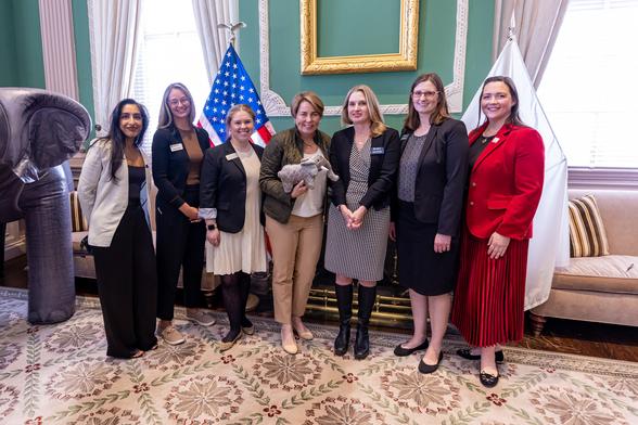 A group of people following the signing of the Circus Bill. There are seven women in a line. In the middle is MA governor Maura Healey and she's holding a small plush elephant. She's flanked by members of the animal welfare world and cut off on the left edge is a large inflatable elephant
