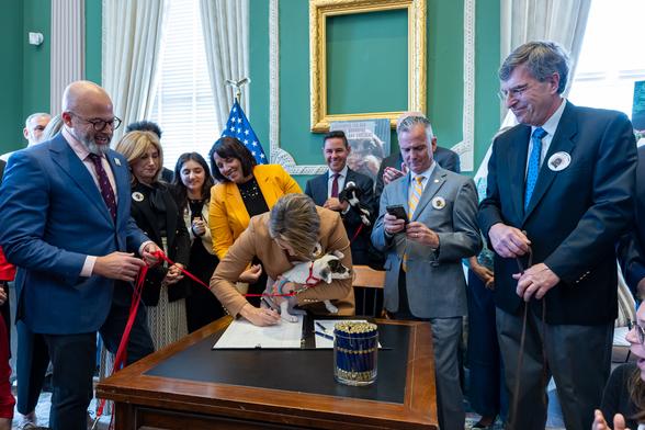 MA governor maura healey signs ollie's law. she's holding a small white mixed breed puppy with black and brown on his face/ears. several men in suits and a couple women also in business wear are surrounding her and watching