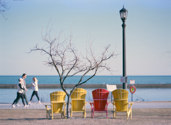 Early spring by Lake Ontario, four Muskoka chairs, three yellow and one red, are lined up up (and also chained to) a small, yet bare tree. People walk by on the boardwalk and the lake stretches into the distance.