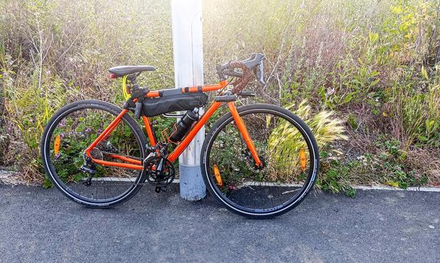 An orange bike with dropped handlebars, leaning against a lamppost in front of a grass verge which has been left to go wild, with grasses and wildflowers. 
The bike has lights, locks, cameras and sleigh bells.