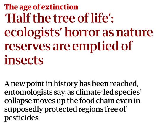 The age of extinction

‘Half the tree of life’: ecologists’ horror as nature reserves are emptied of insects

A new point in history has been reached, entomologists say, as climate-led species’ collapse moves up the food chain even in supposedly protected regions free of pesticides
