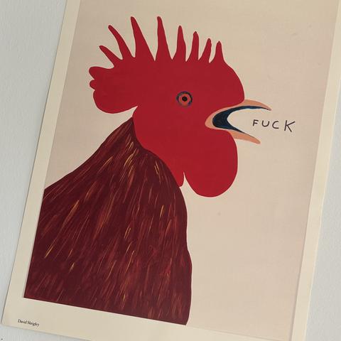 Illustration eines Hahns mit rotem Kopf und braunem Gefieder auf beigem Hintergrund. Aus dem geöffneten Schnabel des Hahns kommt das Wort »FUCK«. In der unteren linken Ecke steht der Name »David Shrigley«.