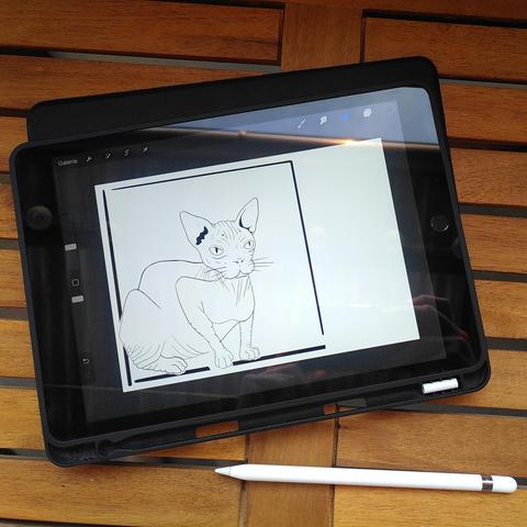 Photo of a tablet and a stylo. On the screen is a line art picture of a grumpy looking sphynx cat crouching in the corner of a rectangular frame.
The reflections on the tablet show that I'm sitting outside since you can see a bit of the sky and a rain rail reflecting the sun.