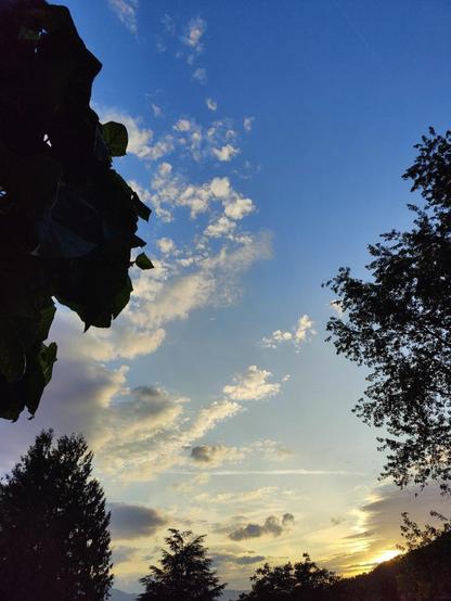 Soleil couchant offrant un dégradé dans le ciel : le ciel va du jaune brillant en bas à droite au bleu intense en haut à gauche, au milieu des nuages blancs et gris qui se glissent de part et d'autre. Les sommets de différents arbres déjà dans la pénombre se découpent devant le ciel.