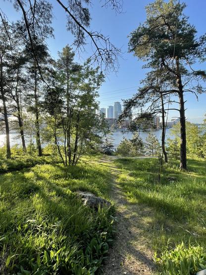 Mäntyjä, polku, Vanhankaupunginselkä, Kalasataman tornitaloja.