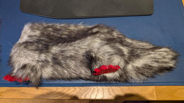 Foto of a headless and still unstuffed half platypus