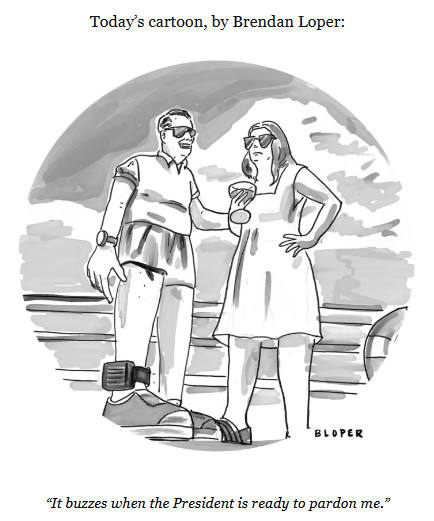 cartoon showing a man and a woman at the beach- the man wears a court ordered ankle monitor and says "It buzzes when the President is ready to pardon me."