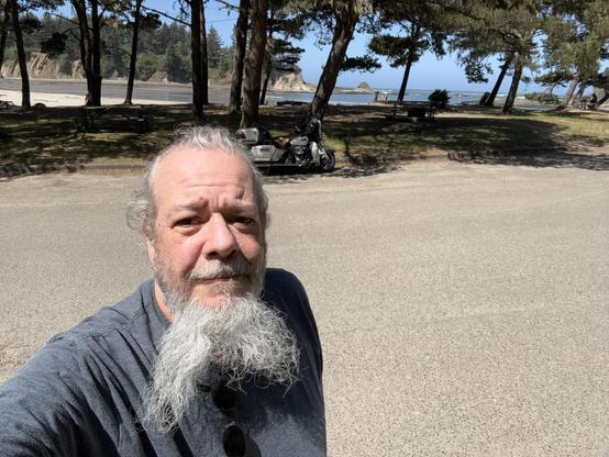 A bearded man is standing in a park setting, with trees and a beach visible in the background. A motorcycle is parked nearby, and the scene is sunny with clear skies.