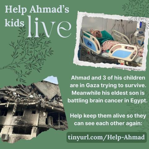 A dark green square graphic decorated with olive branches. The title says "Help Ahmad's kids live." Text: "Ahmad and 3 of his children are in Gaza trying to survive. Meanwhile his eldest son is battling brain cancer in Egypt. Help keep them alive so they can see each other again: https://tinyurl.com/Help-Ahmad." There is a photo of a destroyed and burnt out house, and a photo of a teenager lying in a hospital bed hooked up to numerous machines and with bandages on his head, waving at the camera."
