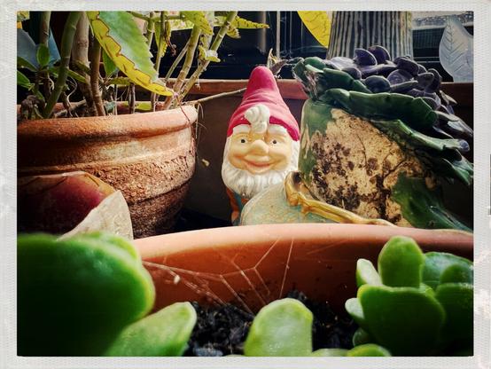 Nain de jardin