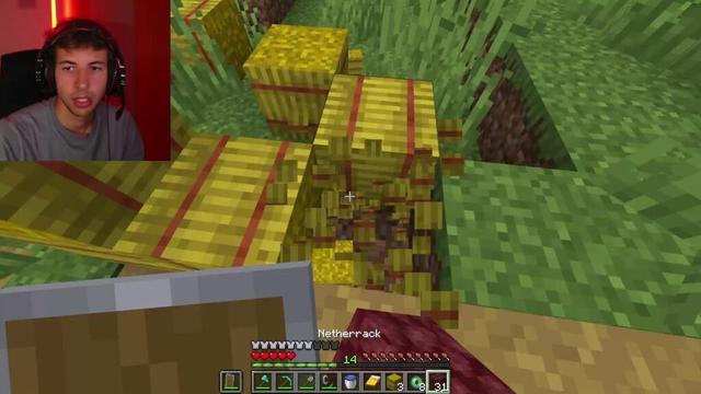🔴Minecraft, ma sono una mucca...