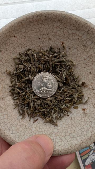 Dry green tea leaves