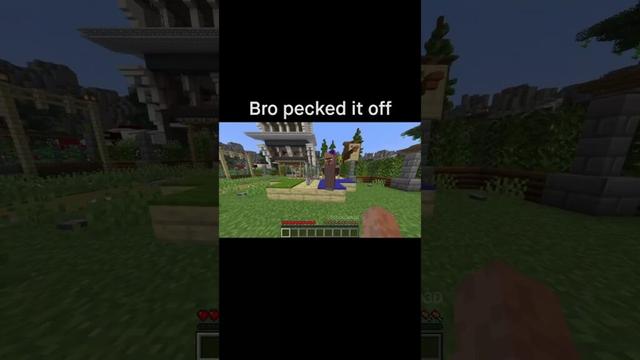 Minecraft Meme