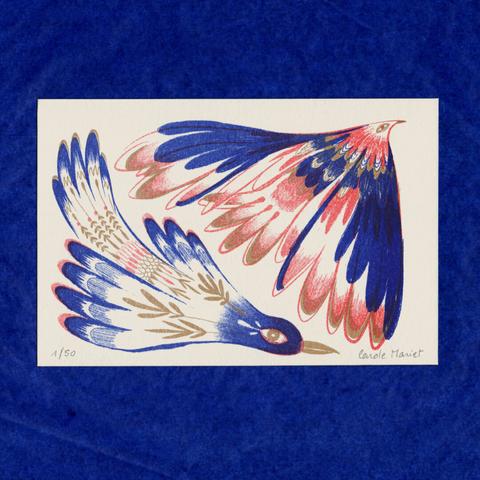 Risographie, 2 oiseaux imaginaires