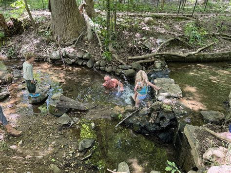 RFK jr. bathing in Rock Creek with his grandchildren