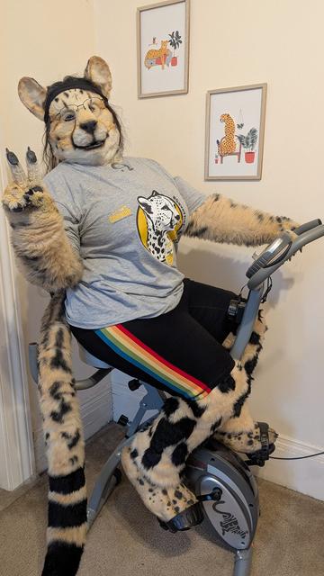 Shetani the king cheetah in fursuit, riding an indoor exercise bike. She's wearing a Cheetah Fit Challenge 2025 t-shirt and workout shorts with her hair held back by a sweatband. On the wall behind her are 2 framed illustrations of cheetahs.