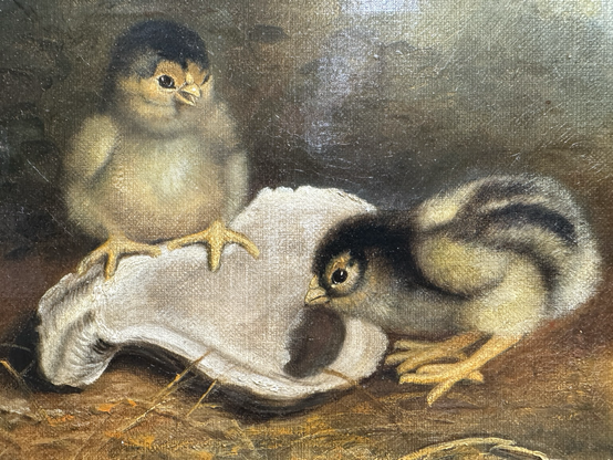 closeup of the two chicks and shell