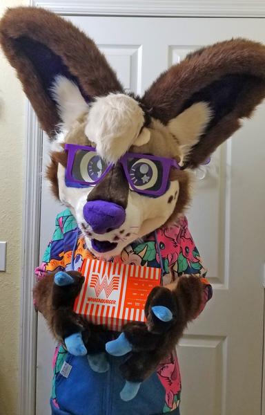 Fursuit of Jordan the chihuahua. She's wearing a bat patterned hoodie made by Camp Howl, and is holding a box of WhatABurger and facing the camera.