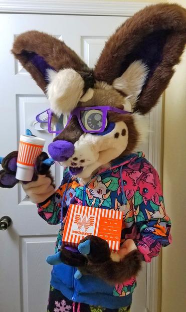 Fursuit of Jordan the chihuahua. She's wearing a bat patterned hoodie made by Camp Howl, and is holding a box of WhatABurger and a WhatABurger soda cup.