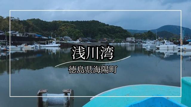 【徳島 海陽町】浅川湾を小さな漁船で巡る｜雨の静けさと養殖場の風景
