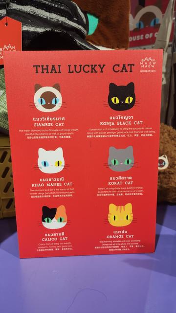 Six cat types with whimsical text.