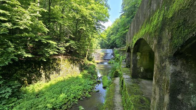 Das alte Wehr in Lohmen, umgeben von dichtem Grün, mit einem moosbewachsenen, bogenförmigen Mauerwerk auf der rechten Seite, durch das man auf den Bach und die dahinterliegenden Wasserstufen blickt. Sonnenlicht fällt auf das Laub