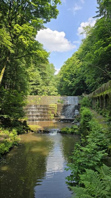 Eine weite Ansicht des alten Wehrs in Lohmen, das aus mehreren terrassenförmigen Stufen besteht, über die Wasser in einen ruhigen Bach fließt. Das Wehr ist von dichtem, grünem Wald umgeben, und der Himmel ist teilweise blau mit einigen Wolken.
