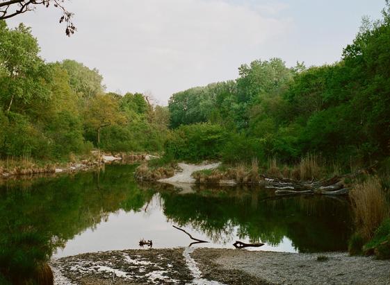Blick auf einen alten stillen Donauarm im Nationalpark Lobau bei Wien.