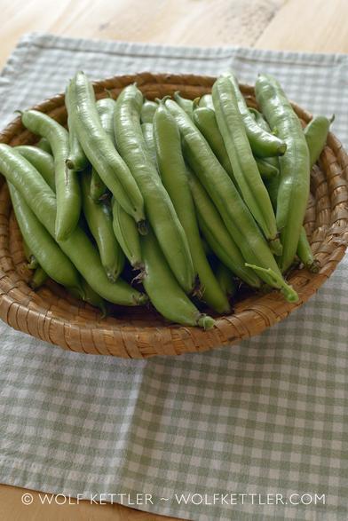 This portrait format photograph shows a round, woven basket filled with broad beans in their pods. The basket sits on a green and white checked fabric placemat.