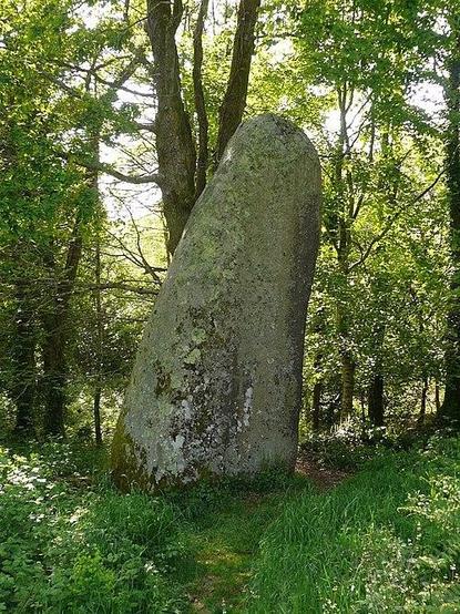 Menhir à #PontAven (#Finistère) Construction Néolithique. Menhir (cad. D 964) : classement par arrêté du 6 janvier 1971.
Suite 👉 https://monumentum.fr/monument-historique/pa00090292/pont-aven-menhir
#Patrimoine #MonumentHistorique
Photo CC-BY-SA 4.0 : Yann Gwilhoù