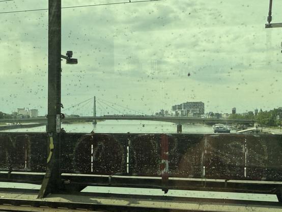 Blick aus dem Zugfenster auf den Rhein. Schwer zu erkennen, aber am Ufer und auf der Brücke sind keine Menschen und Fahrzeuge. Grund: Bombenfund und Evakuierung.
