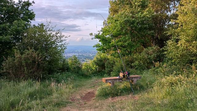 In the foreground is a simple wooden bench, on which sits the FT-817. The flowerpot antenna is hanging from a 5m fishing pole propped up beside the bench. Just behind the bench is lush green vegetation (shrubs and bushes), but there is a v-shaped gap looking through vegetation to the town of #Cheltenham, blue sky, and clouds.