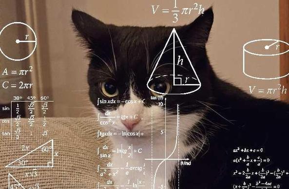 A picture of a black and white cat, with her ears in the "something or someone may have to die by my paw today" position, overlaid with various mathematical equations