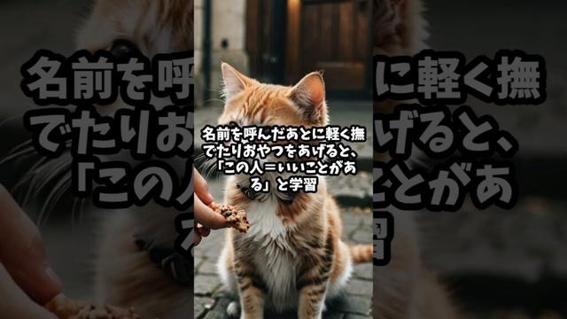 猫が心を開く人の共通行動5選 #shorts #雑学 #動物