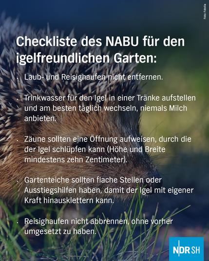 Checkliste des NABU für den igelfreundlichen Garten:

- Laub- und Reisighaufen nicht entfernen.

- Trinkwasser für den Igel in einer Tränke aufstellen und am besten täglich wechseln, niemals Milch anbieten.

- Zäune sollten eine Öffnung aufweisen, durch die der Igel schlüpfen kann (Höhe und Breite mindestens zehn Zentimeter).

- Gartenteiche sollten flache Stellen oder Ausstiegshilfen haben, damit der Igel mit eigener Kraft hinaus­klettern kann.

- Reisighaufen nicht abbrennen, ohne vorher umgesetzt zu haben.