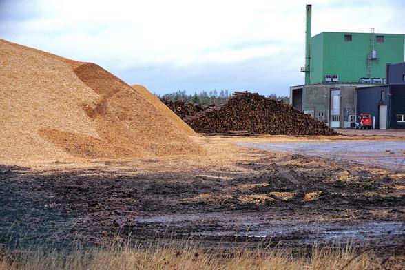 LEAG Pelletwerk in Oranienbaum: Links ein heller Holz/Pelletberg, in der Mitte ein Stapel Holzstämme, rechts das Werk