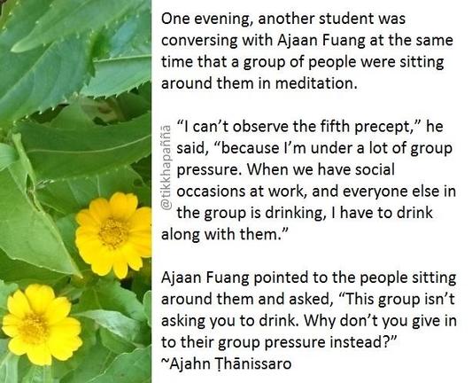 One evening, another student was conversing with Ajaan Fuang at the same time that a group of people were sitting around them in meditation.
“I can’t observe the fifth precept,” he said, “because I’m under a lot of group pressure. When we have social occasions at work, and everyone else in the group is drinking, I have to drink along with them.”
Ajaan Fuang pointed to the people sitting around them and asked, “This group isn’t asking you to drink. Why don’t you give in to their group pressure instead?”
~Ajahn Ṭhānissaro