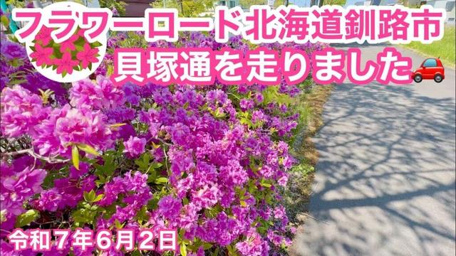 【花の道釧路市貝塚通】🌺美しい花が咲き並ぶ北海道釧路市貝塚通マクドナルド釧路貝塚通り店さん辺りのフラワーロードを走りました🚗令和7年6月2日DJIOSMOACTION4&iPhone16で4K撮影動画