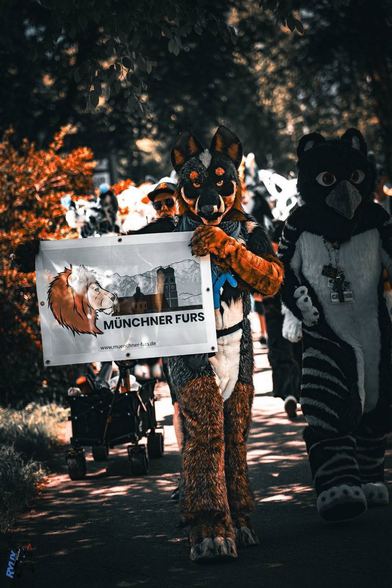 Photo of a Blue Heeler fursuiter carrying a flag with the logo of Münchner Furs e. V., walking directly towards the viewer.