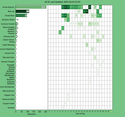 Chart generated by BirdNET-Pi with rows of all detected birds for Tuesday, June 03, 2025 in decending order.  The first large column displays a bar chart of relative frequency; the 24 reamaining columns create cells with the bird count for each hour of the day shaded by relative count.