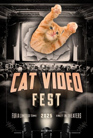 Poster for Cat Video Fest 2025, showing a cat bursting from a movie screen