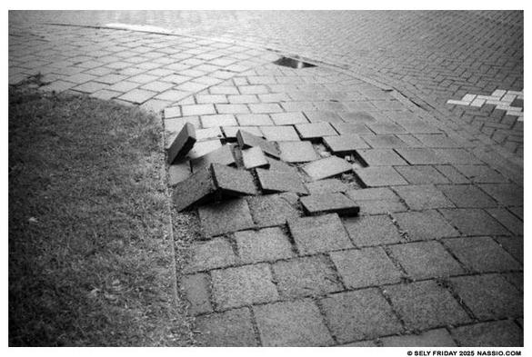 Black and white photograph of a tiled sidewalk where various tiles are suddenly not lying flat as if there has been a major disturbance underneath the earth.
